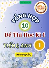 Tổng hợp 10 Đề thi học kì 1 Tiếng Anh 1 Global Success (Kèm đáp án)